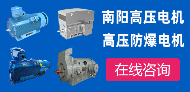南阳高压防爆电机